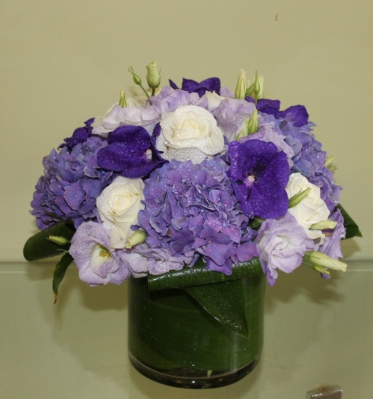 Shocking Purples